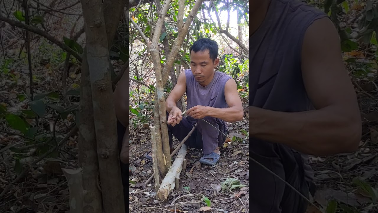 Survival bushcraft making Diy Trap 