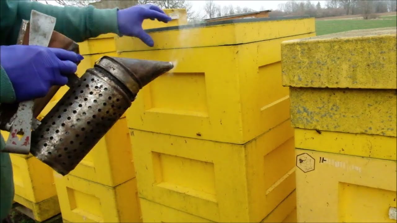 Prohazování nástavků a zebrování. 1.3.2024