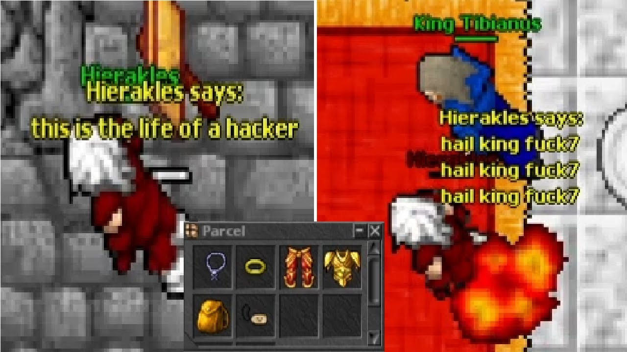 THE LIFE OF A HACKER (Pacera 2005 7.5)