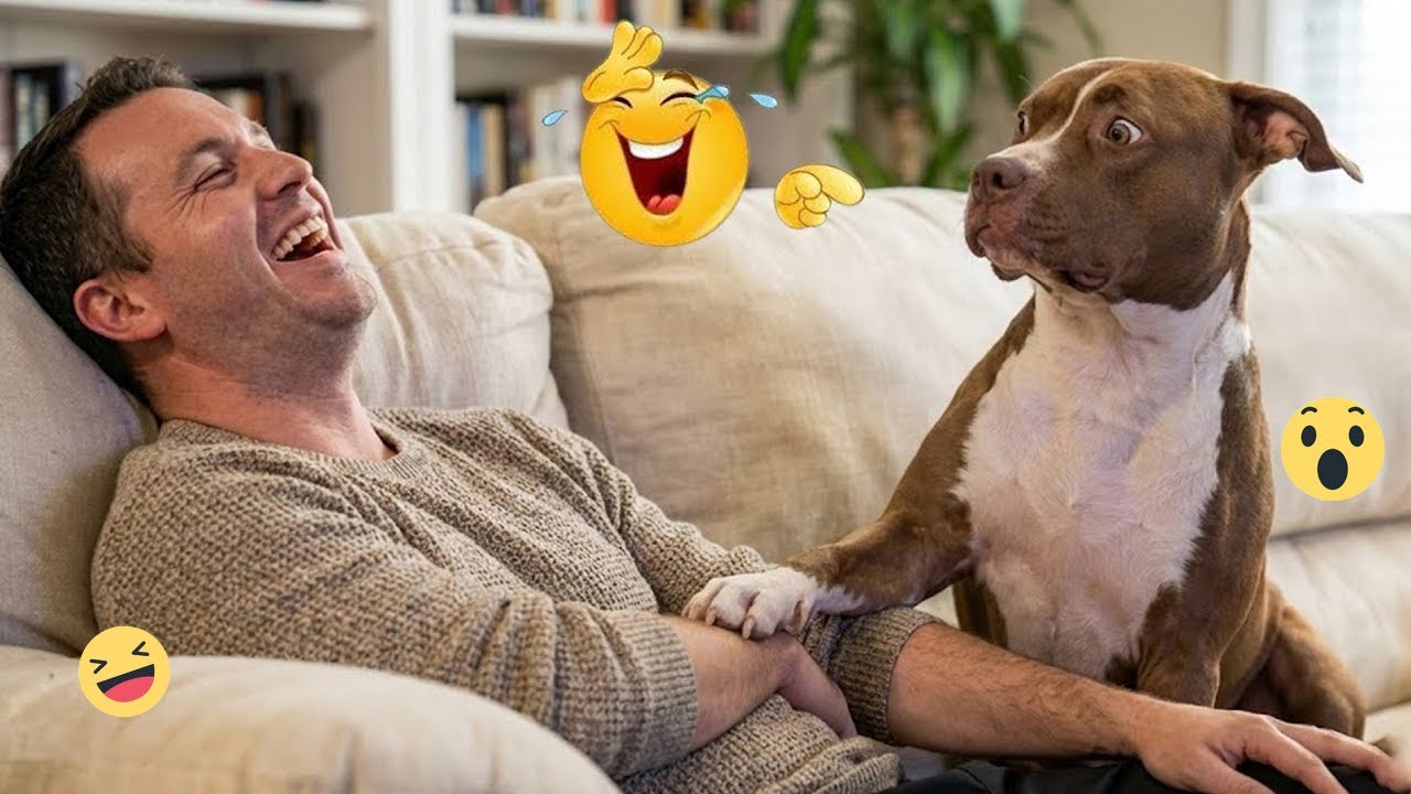 Unbelievable! 😱 FUNNY DOGS 2026 – The Best Dog Fails and Goofy Moments Ever 🤪🐶 #9