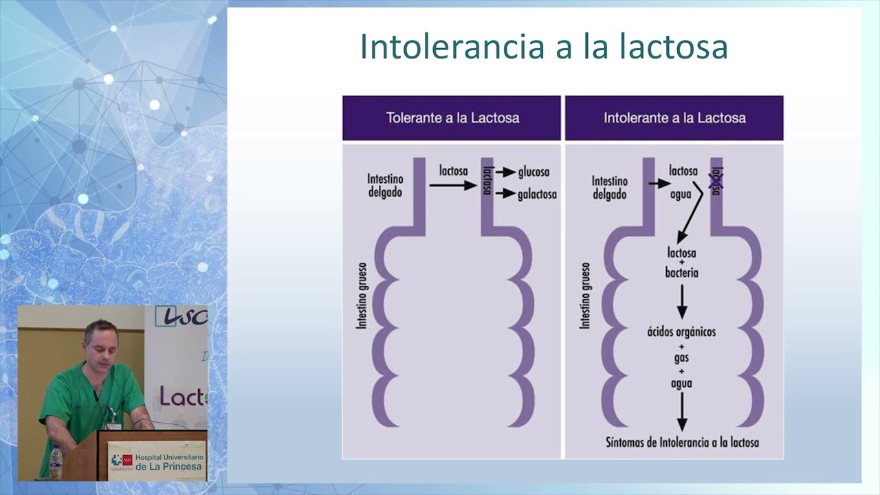 INTOLERANCIA A LA LACTOSA.