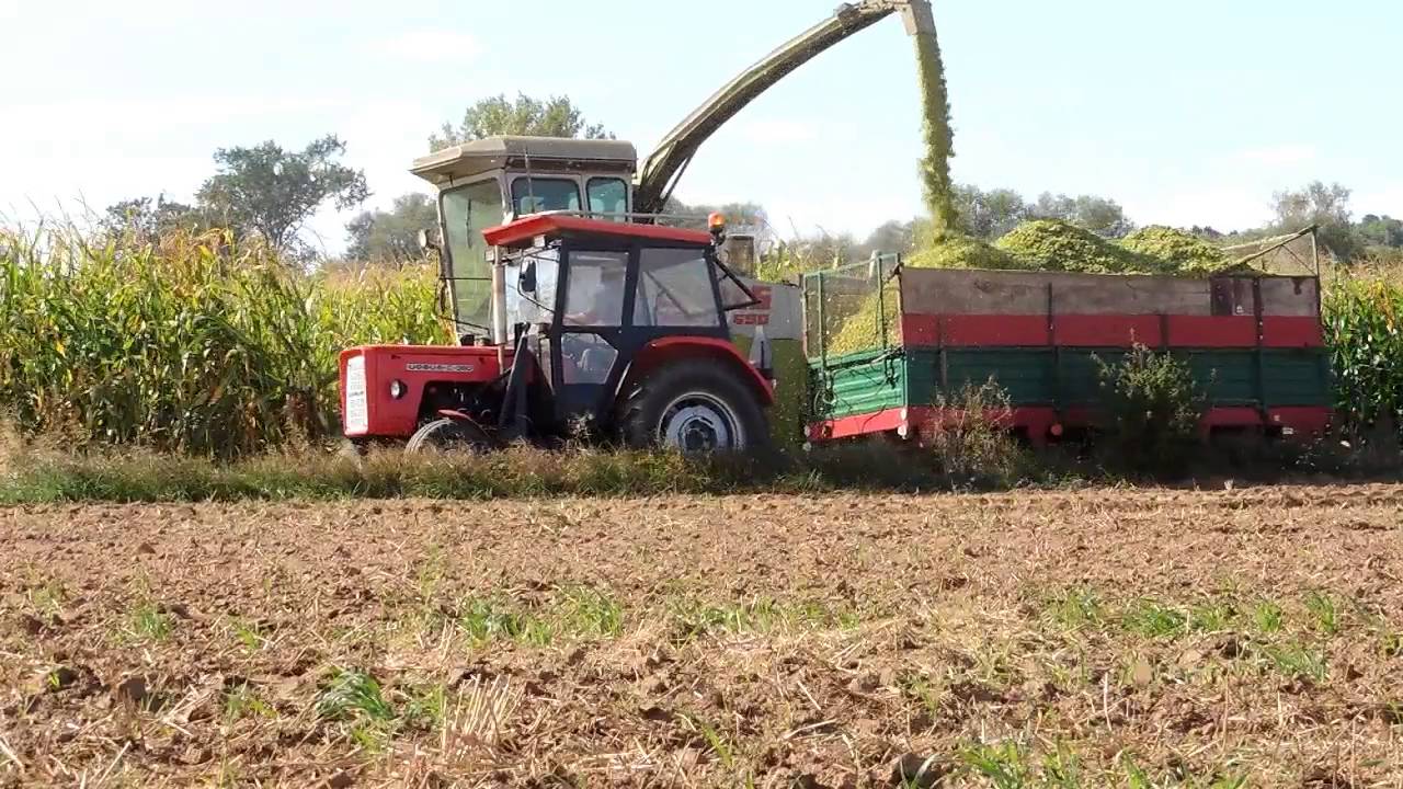 Kiszonka z kukurydzy 2016 Claas Jaguar 690 , Ursus x4 & Deutz fahr