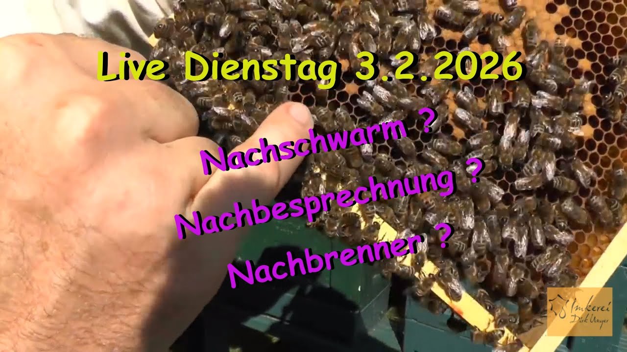 Nachbrenner ? Live Dienstag 19