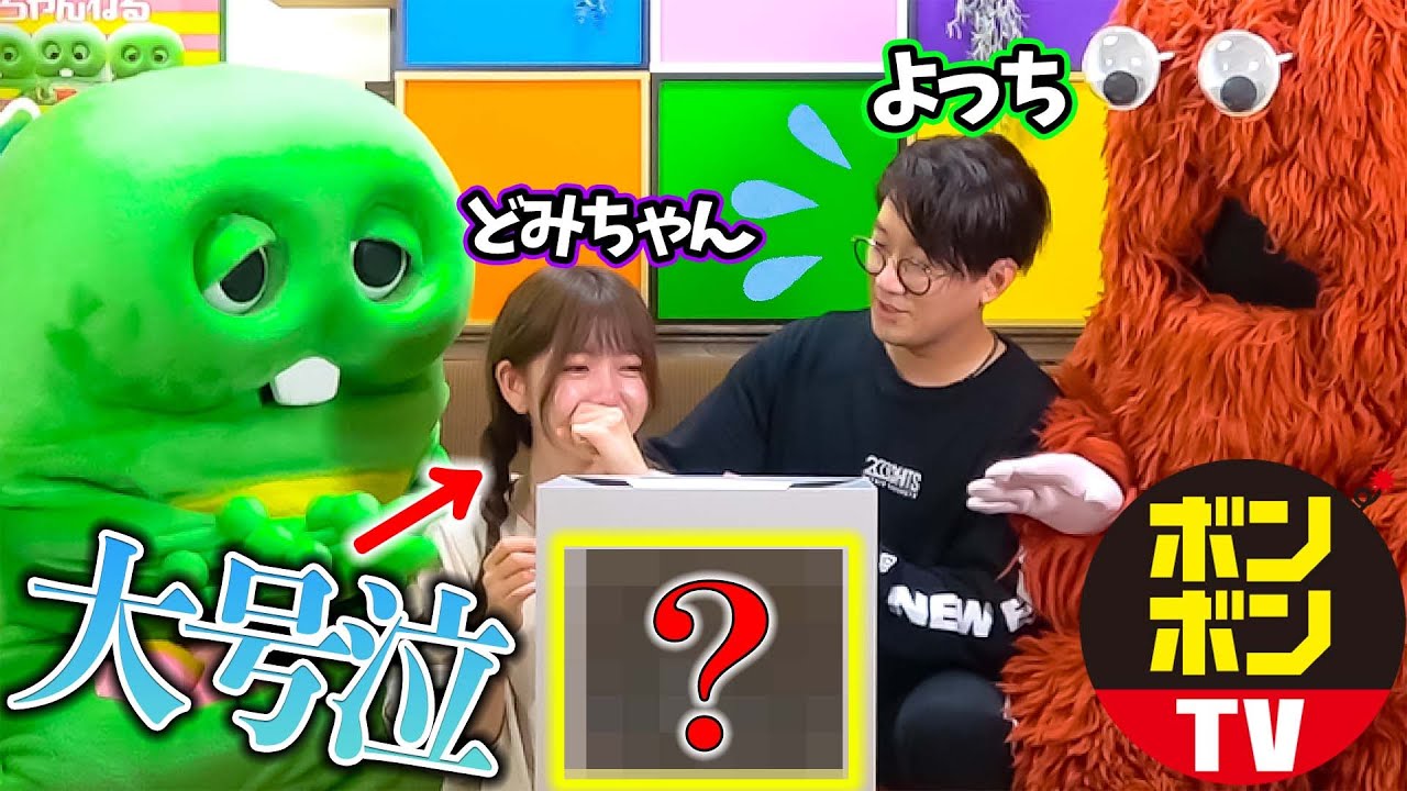 【ボンボンTVよっち】撮影中どみちゃんが箱の中身に大号泣しちゃうドッキリ【50万人突破記念コラボ】
