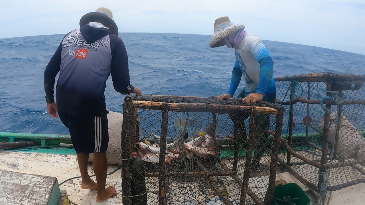 Guerreiro da pesca pescaria de covos em águas profundas veja só como foi