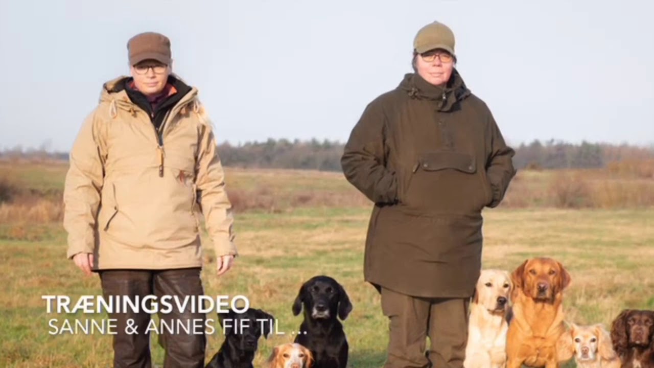 Online hundetr&aelig;ning - positiv jagthundetr&aelig;ning. Kontakt&oslash;velserne