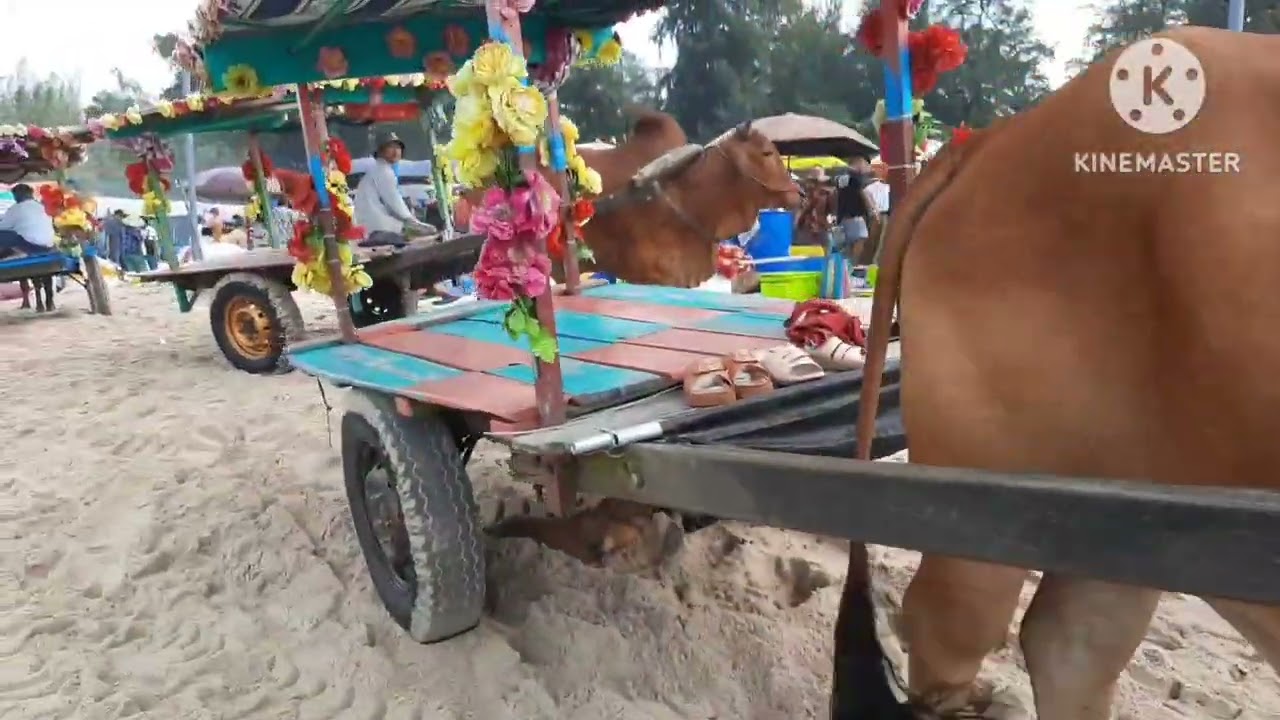 Bãi tắm ẩm thực làng chài cam bình thị xã lagi