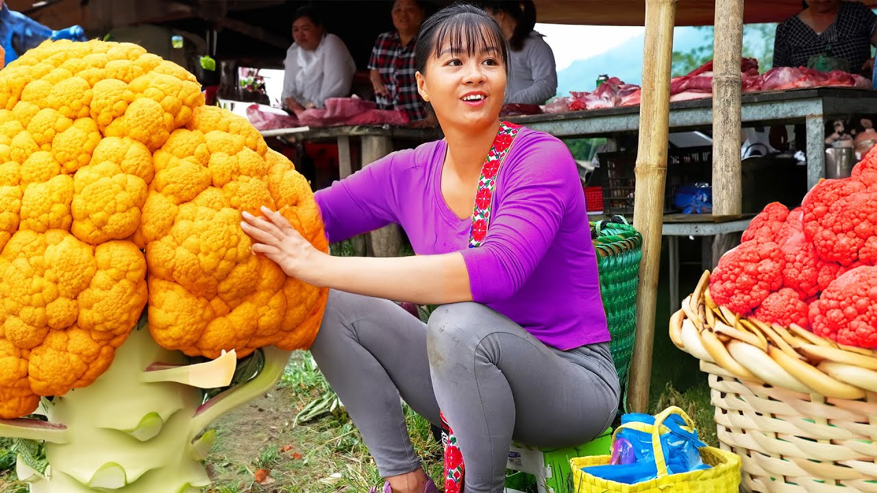 Harvesting Kohlrabi & Cauliflower Go To Market Sell - Braised fish star fruit | Tiểu Vân Daily Life
