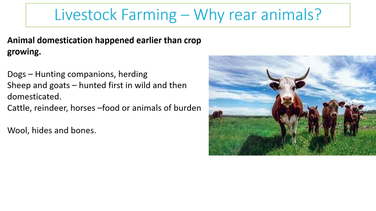 5.2 Terrestrial food Production 2024