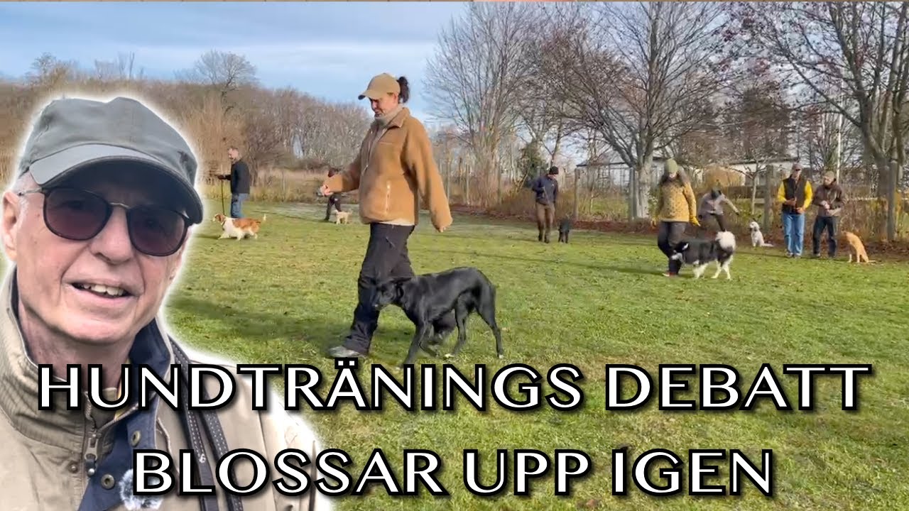 Hundtränings debatten blossar upp igen! Jeppe tycker till