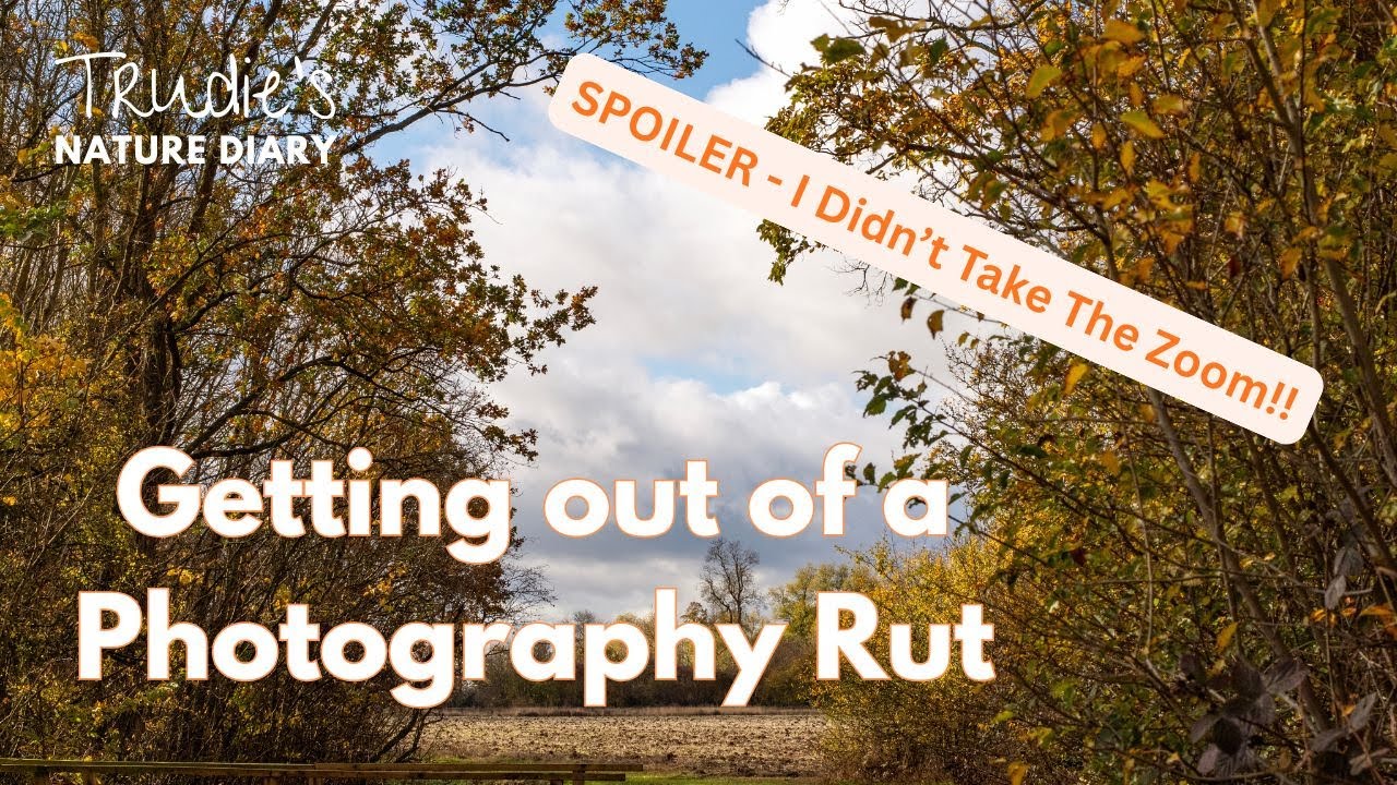 Getting out of a Photography Rut! | Motivation and Challenge | Nature Photography