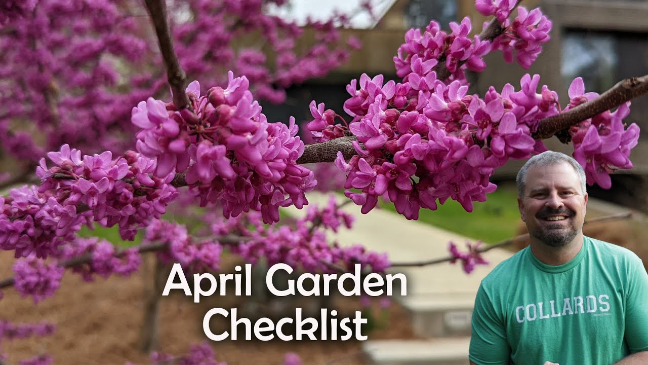 April Garden Checklist - Bulbs, Planting, Fertilizing, Pollinators, Vegetables