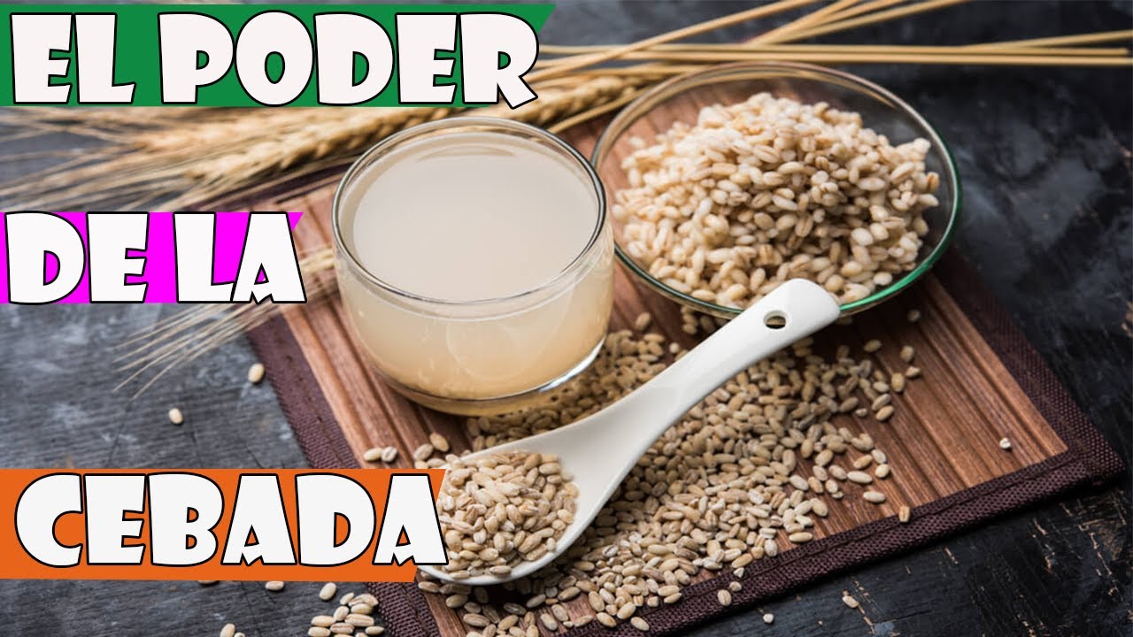 El poder de la Cebada y sus Propiedades y Beneficios Para La Salud