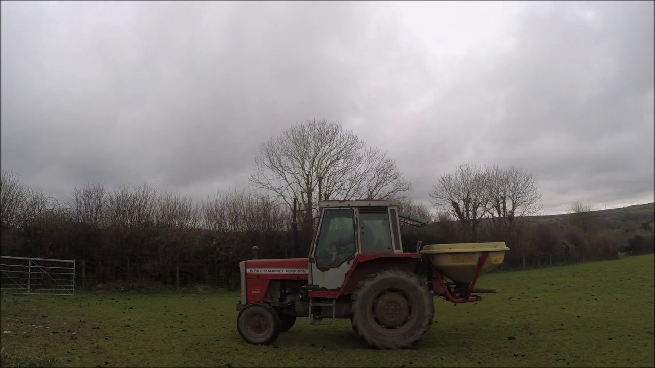 Over sowing clover and chicory into grass pasture Spring 2020