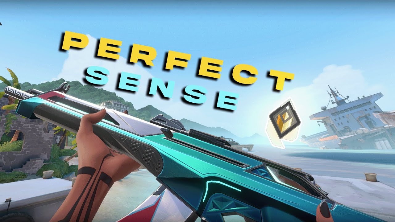 1600 DPI 0.143 = Perfect Sens