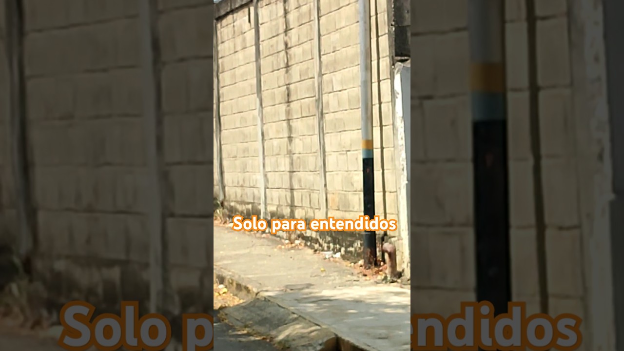 Terminator #terminator #humor #eljuiciofinal