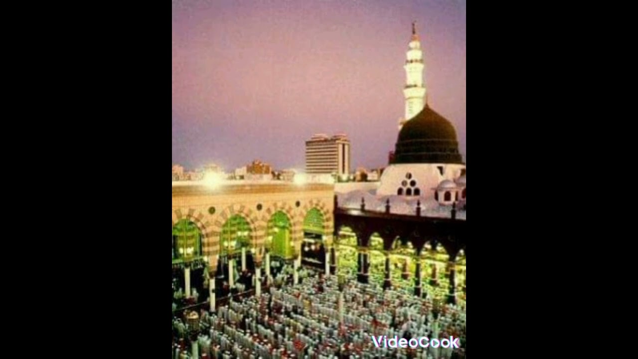 عبدالناصر المصباح (الكبرياء )nassir