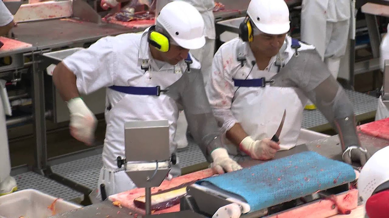 Just the Job - A Career in Meat Processing