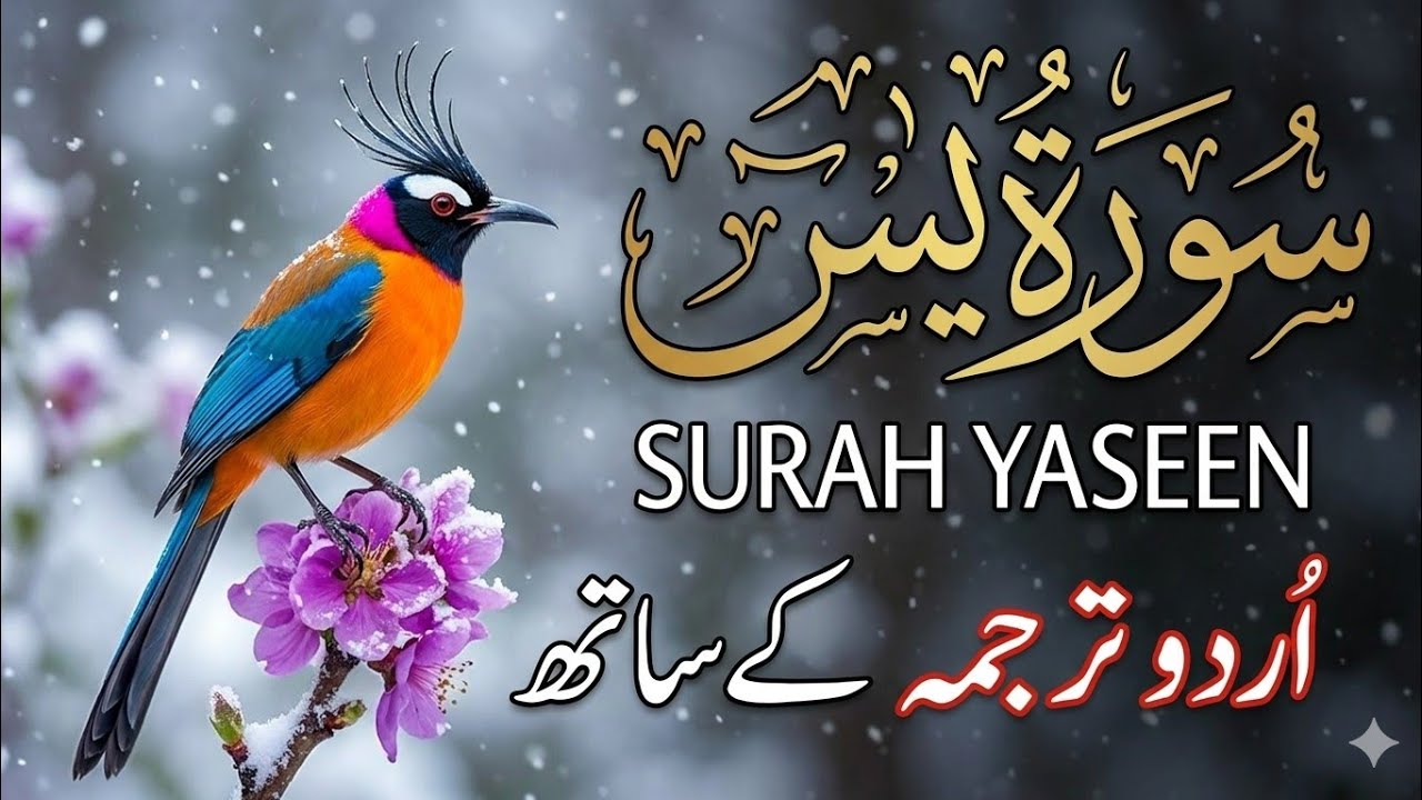 Surah Yaseen (سورة يس) - Beautiful Recitation with Urdu Translation | Qari Mansoor Ghaznavi | EPs 12