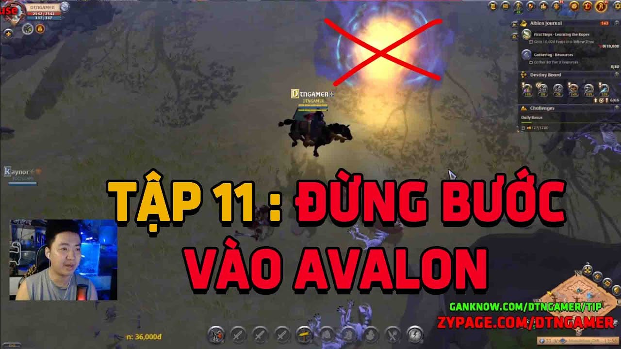 Chơi Albion Online Chill Day 11 Đừng Bước Nhầm Vào AVALON