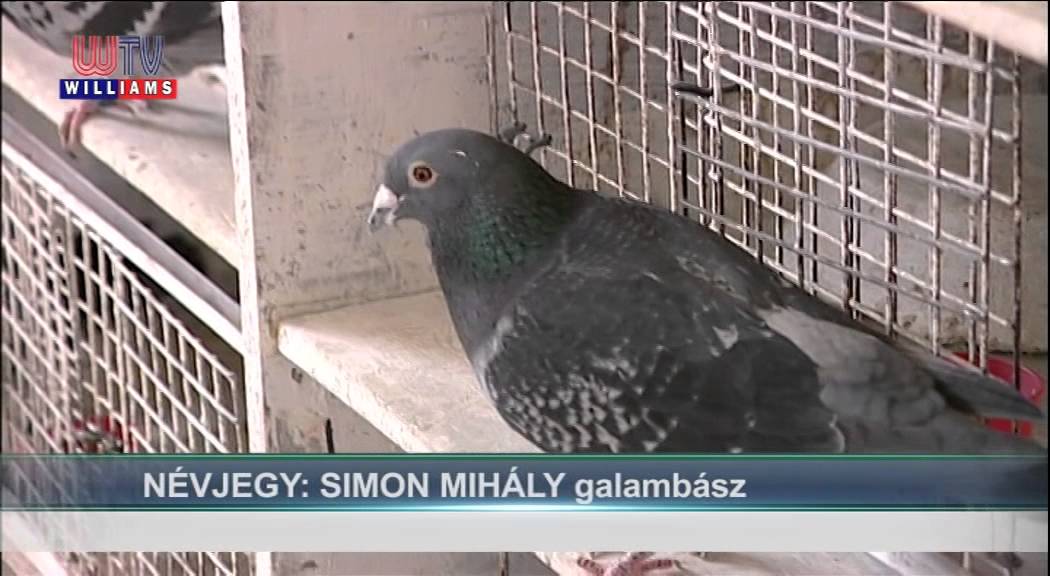 2015 06 05 Vecsési Magazin NÉVJEGY – SIMON MIHÁLY
