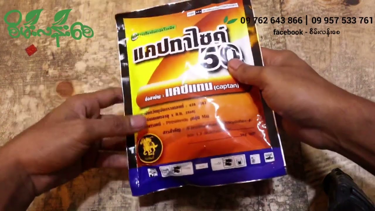 How To Use Captan မှိုဆေးအသုံးပြုနည်း