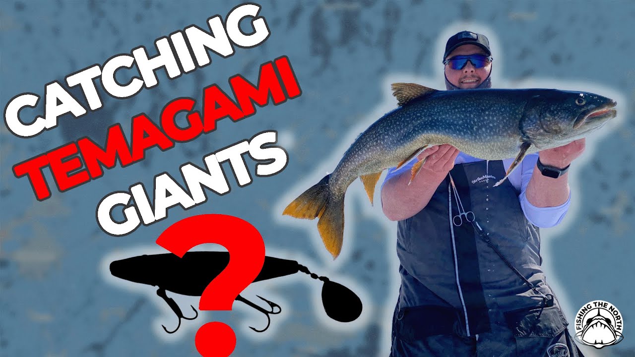 BIGGEST Trout Caught Using THIS Lure!