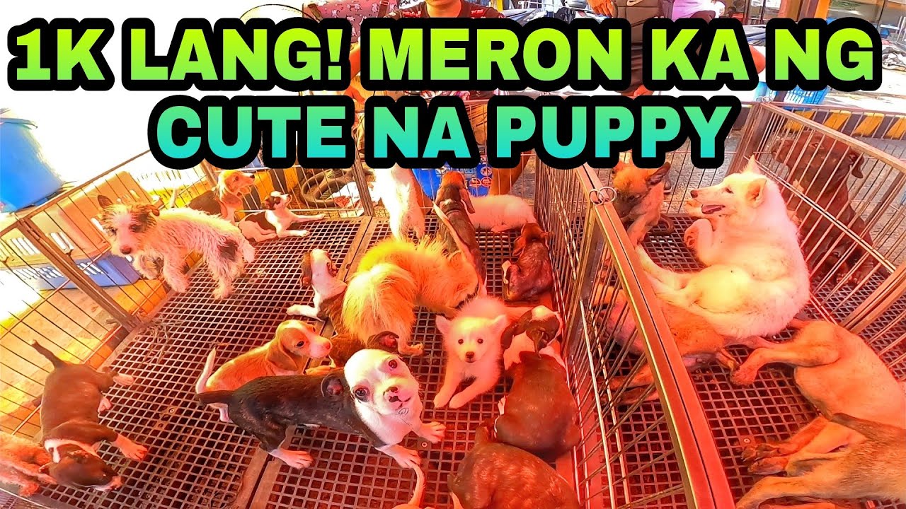 EKSENA SA GROTTO | AUGUST 20 SUNDAY