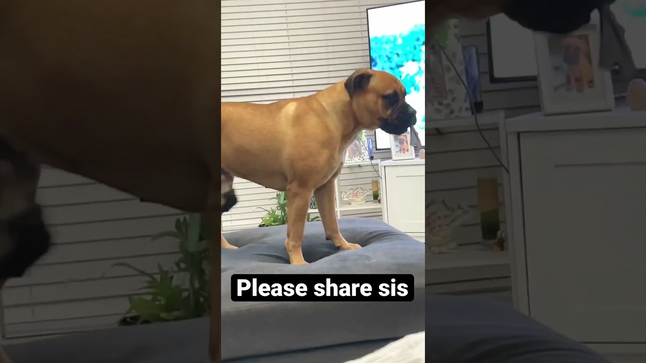 My sis dont want to share the toy 