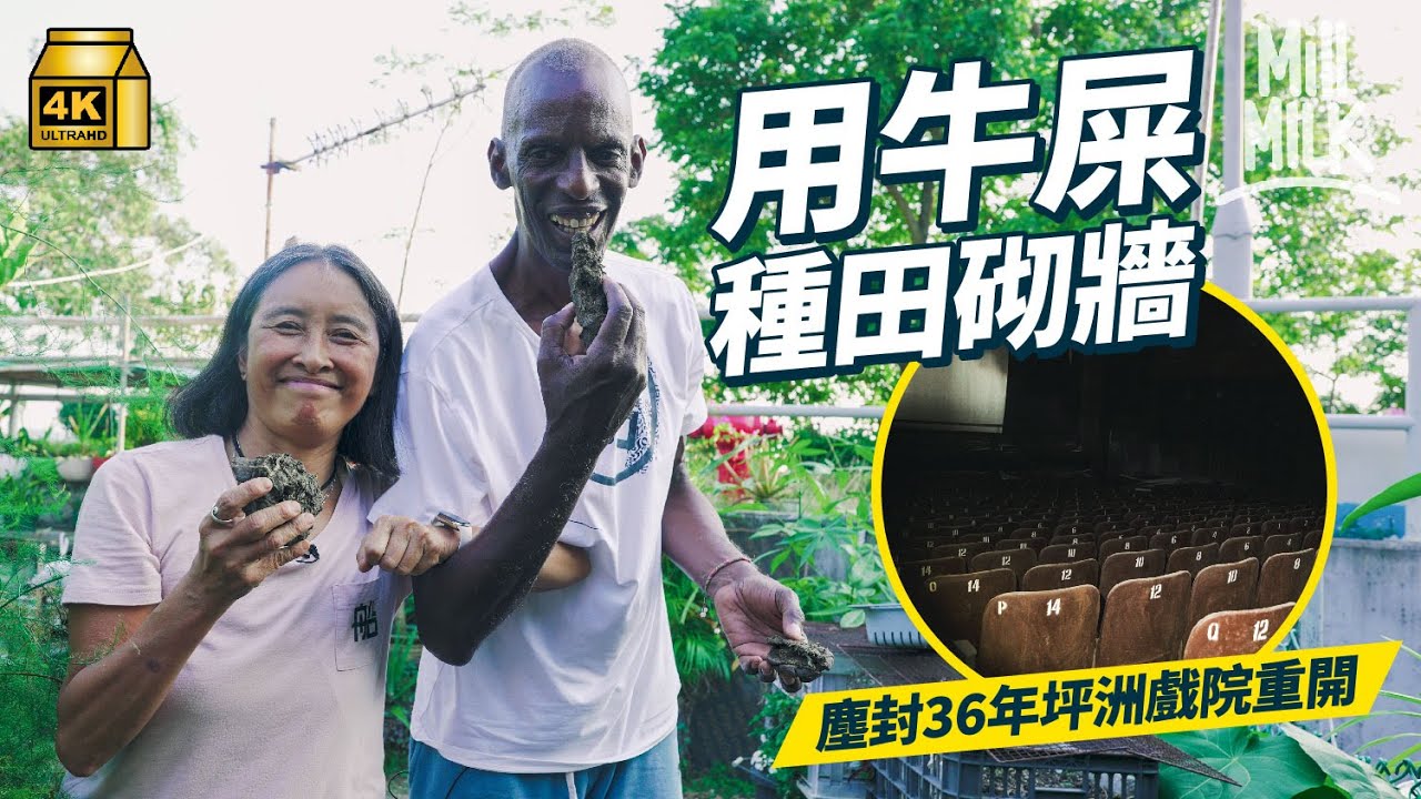#MM｜古巴教授每月入梅窩收集牛糞 鋪牛糞牆可防水！跟入坪洲梅窩睇悠閑離島生活 塵封36年坪洲戲院 曾成為探廢勝地 島民搞「船到橋頭生活節」感受離島｜#700萬種生活 #4K