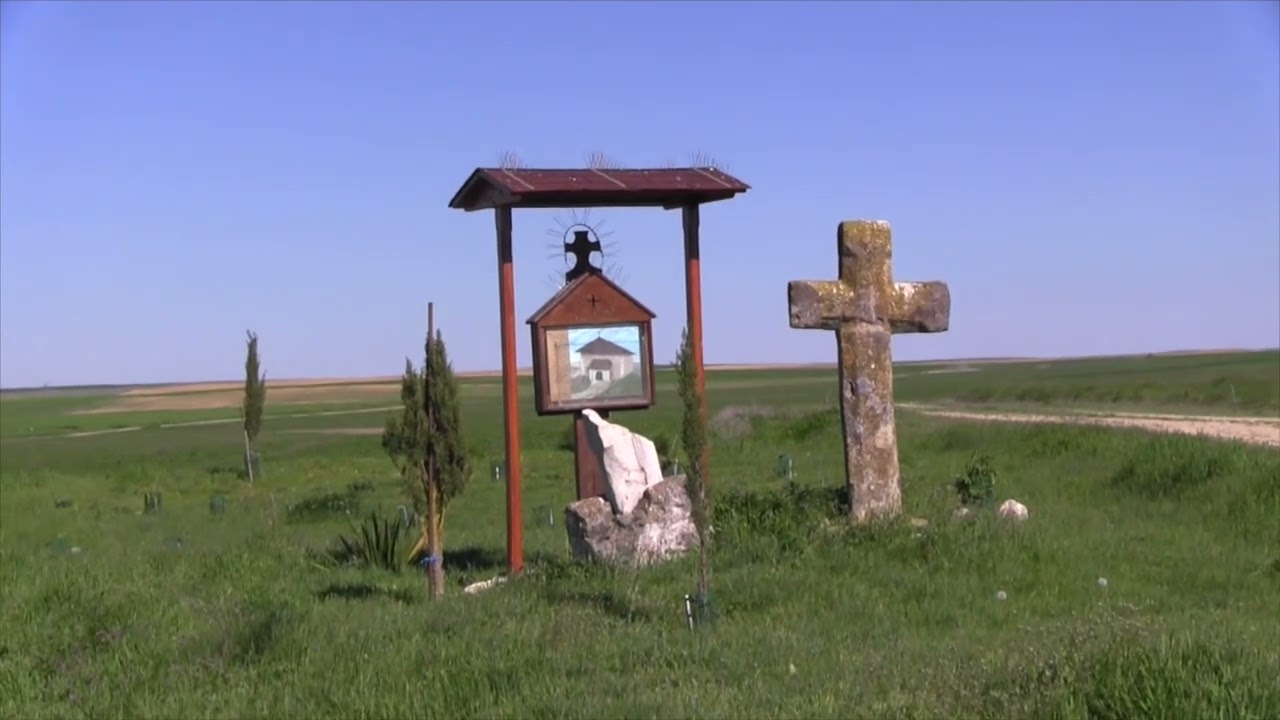 Gatón: Historia y tradición (2023)