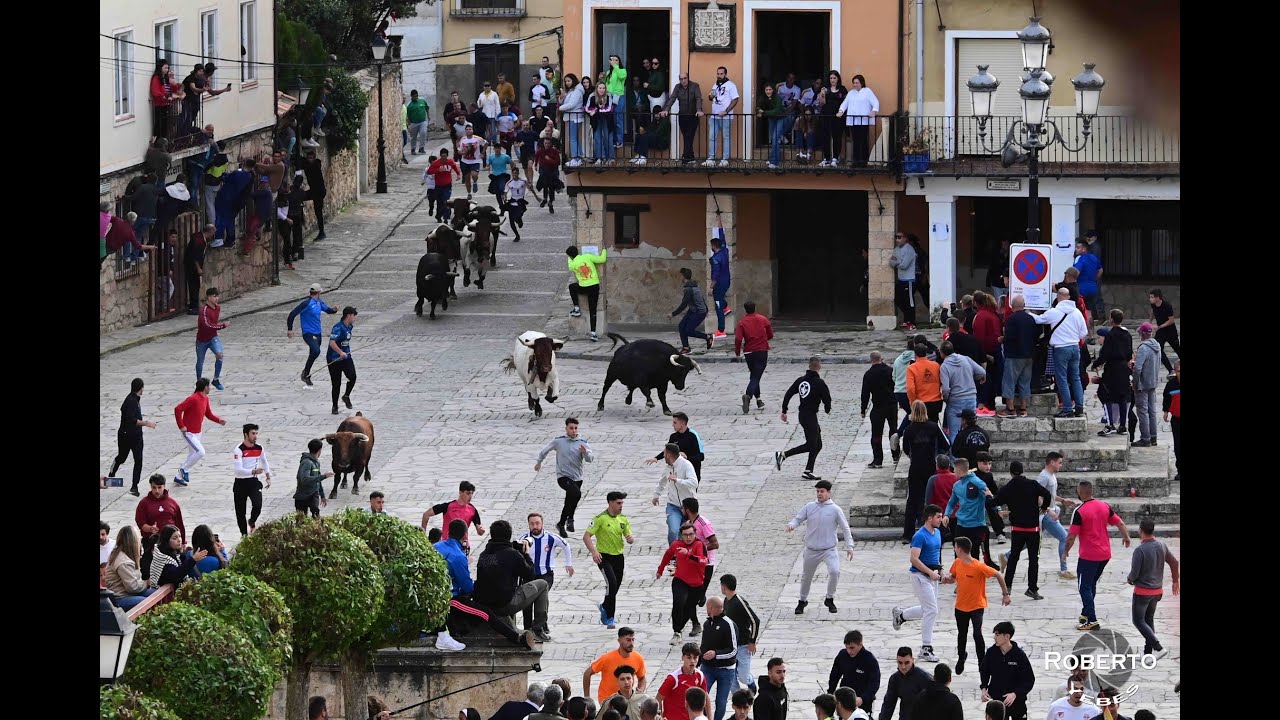 touro na rua brihuega 2024