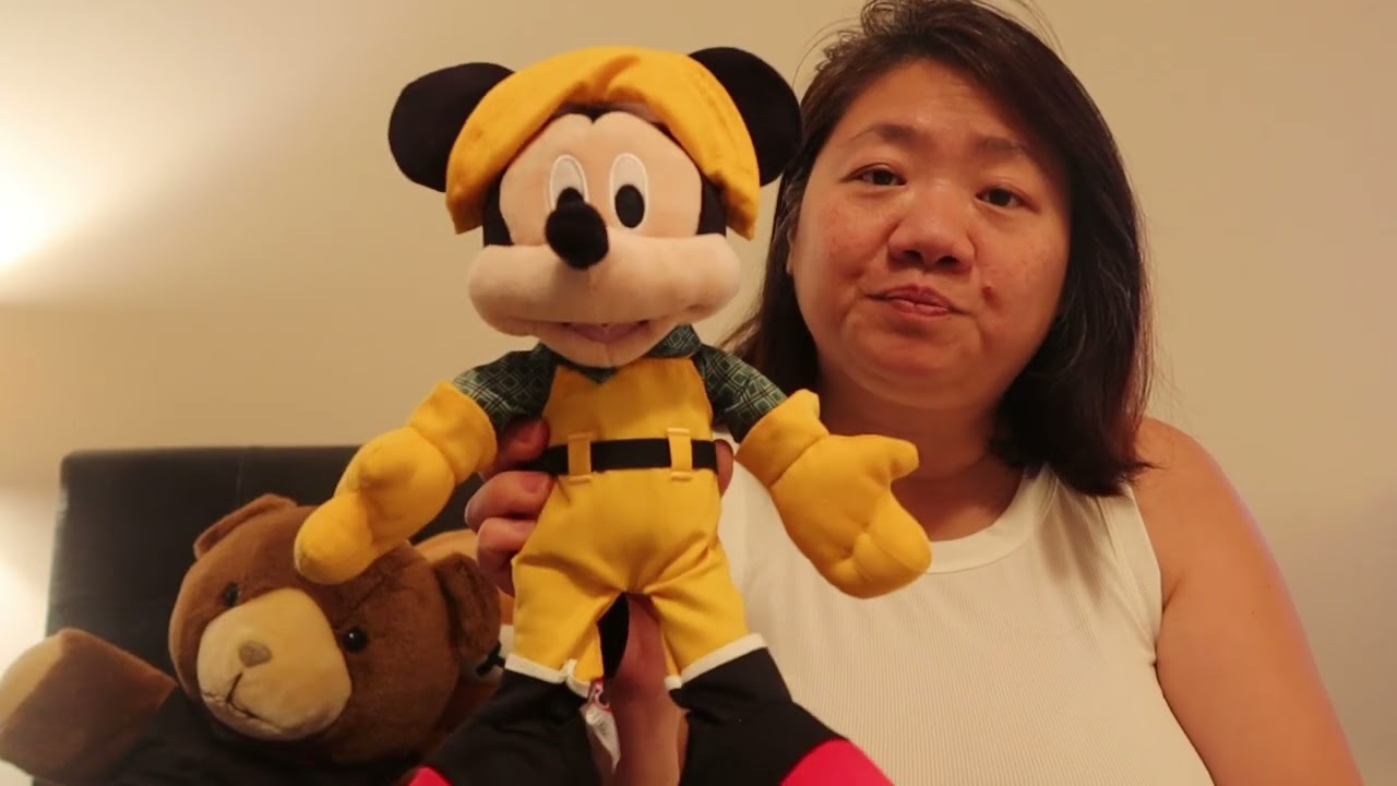 Disney Cruise Haul on the Disney Wonder