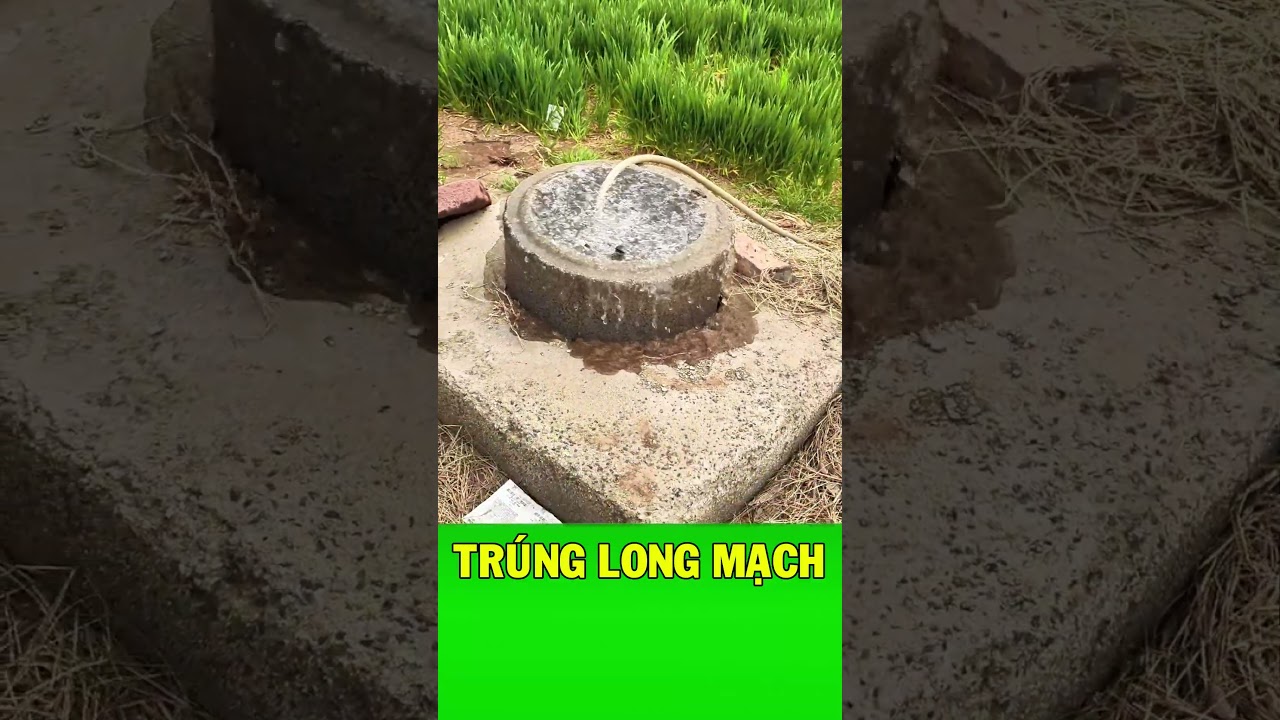 Giếng nước tự phun mạnh mẽ sau khi khoan tr&uacute;ng long mạch