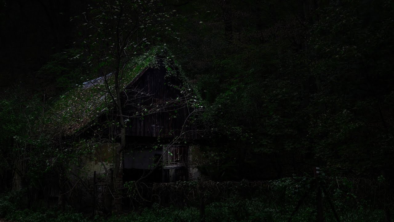 Abandoned Cabin Thunderstorm | Lost Deep in the Woods | Rain & Thunder | 3 Hours