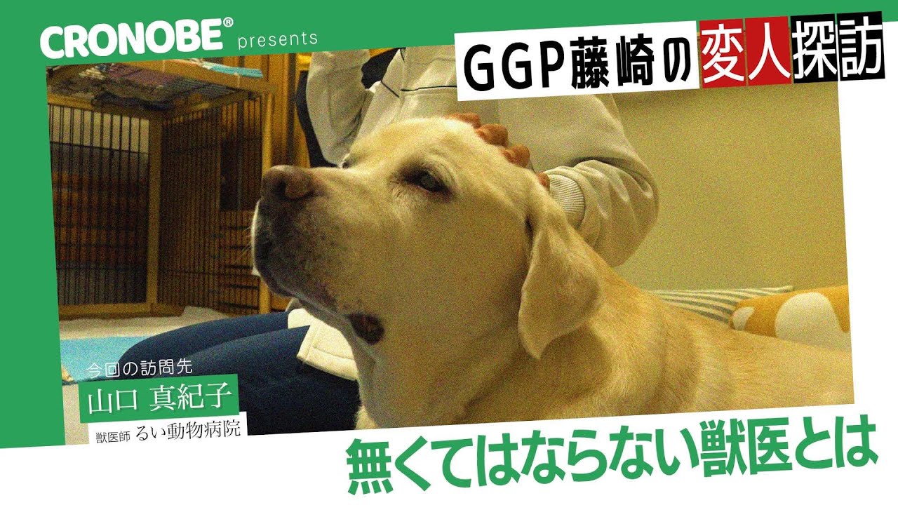 往診専門の動物病院＆ペットのセルフケア専門店を取材！【GGP藤崎の変人探訪】