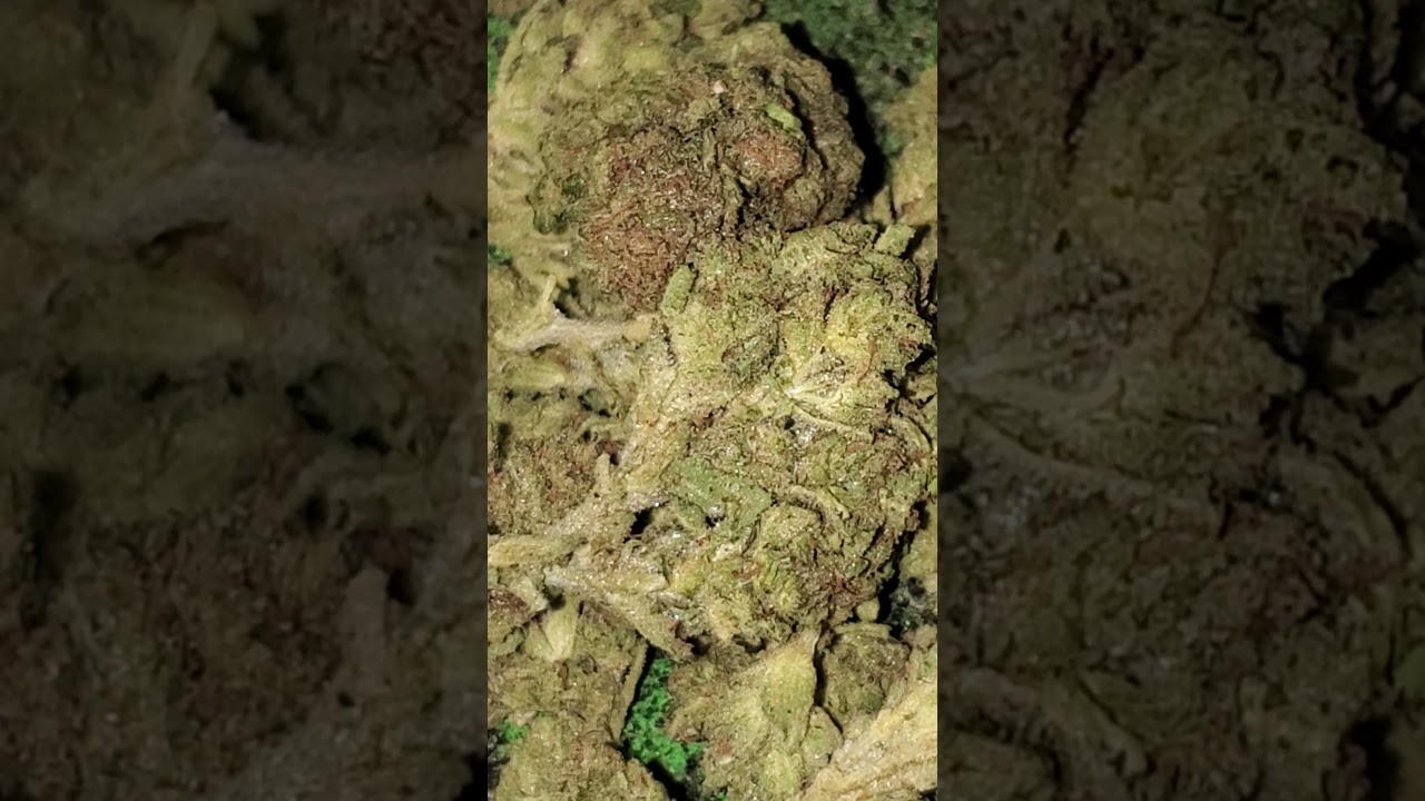 Doc's 👨&zwj;⚕️ OG