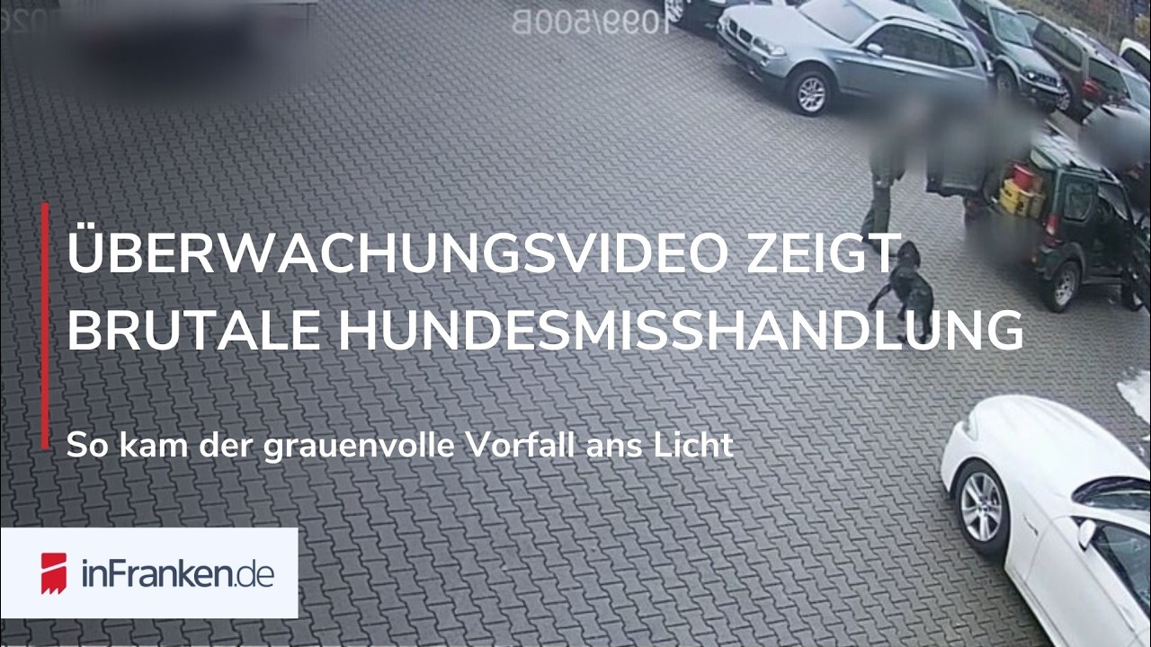 HUND BRUTAL MISSHANDELT: Video aus Kreis Bamberg schockiert ❤️‍🩹🐕