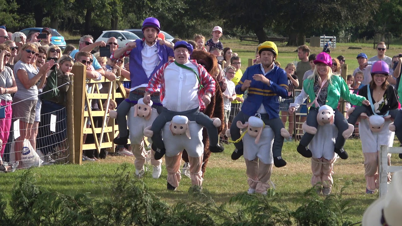 Bizarre sheep racing contest takes place in the UK