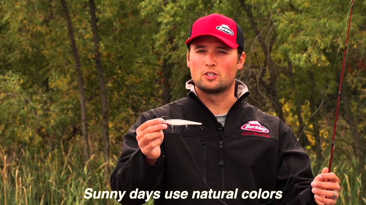 Berkley Jerkbait Color Selection: Why the color of this hard bait matters