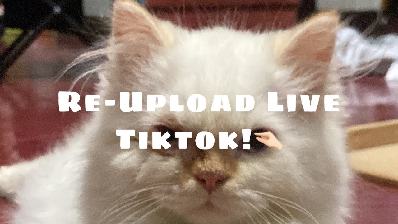 Livestream Tiktok for Sleep🥱😴💤