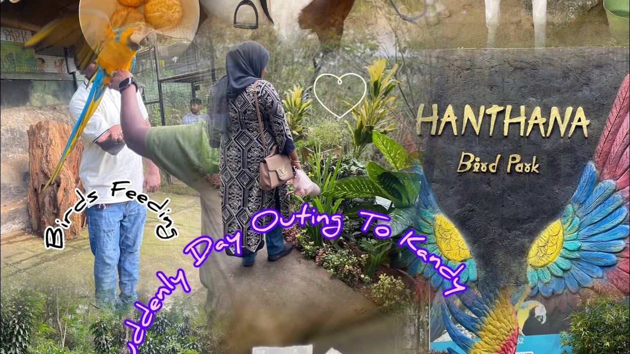 வாங்க Hanthana Birds Park போகலாம்🦅 | Tamil Vlog |  