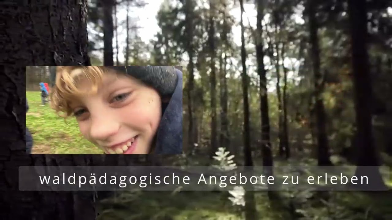 Schulwald