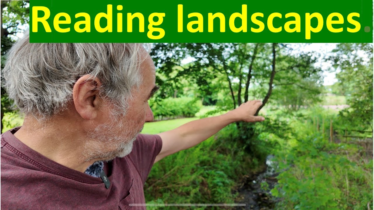 Ancient vs planned landscapes: why it matters