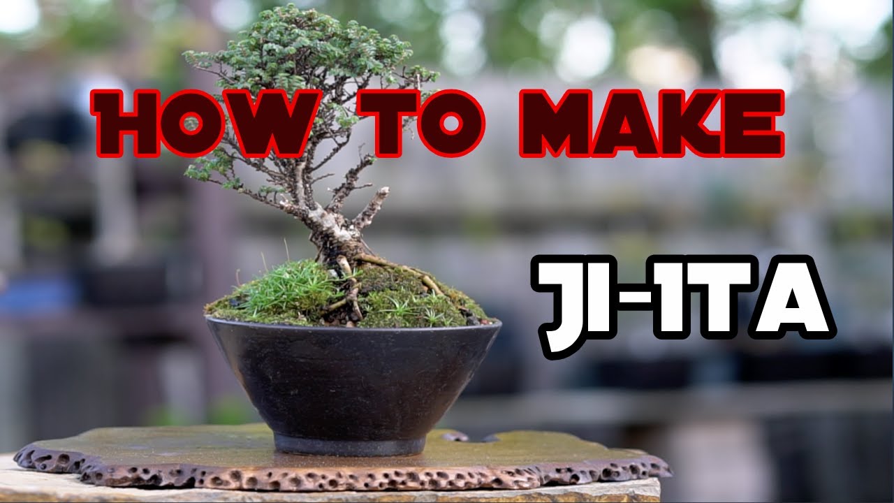 How to make a Ji-Ita display for Bonsai
