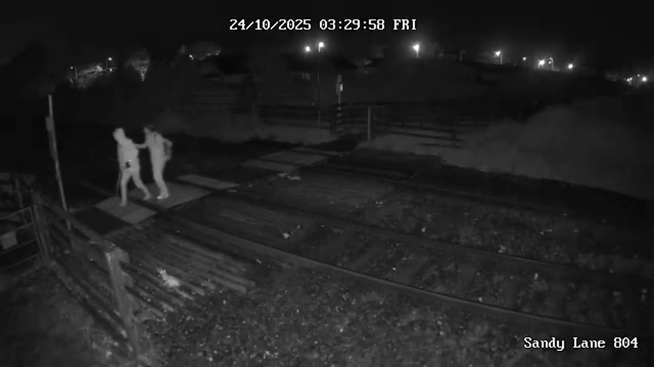 CCTV footage captures Tristan Roberts leading Angela Shellis