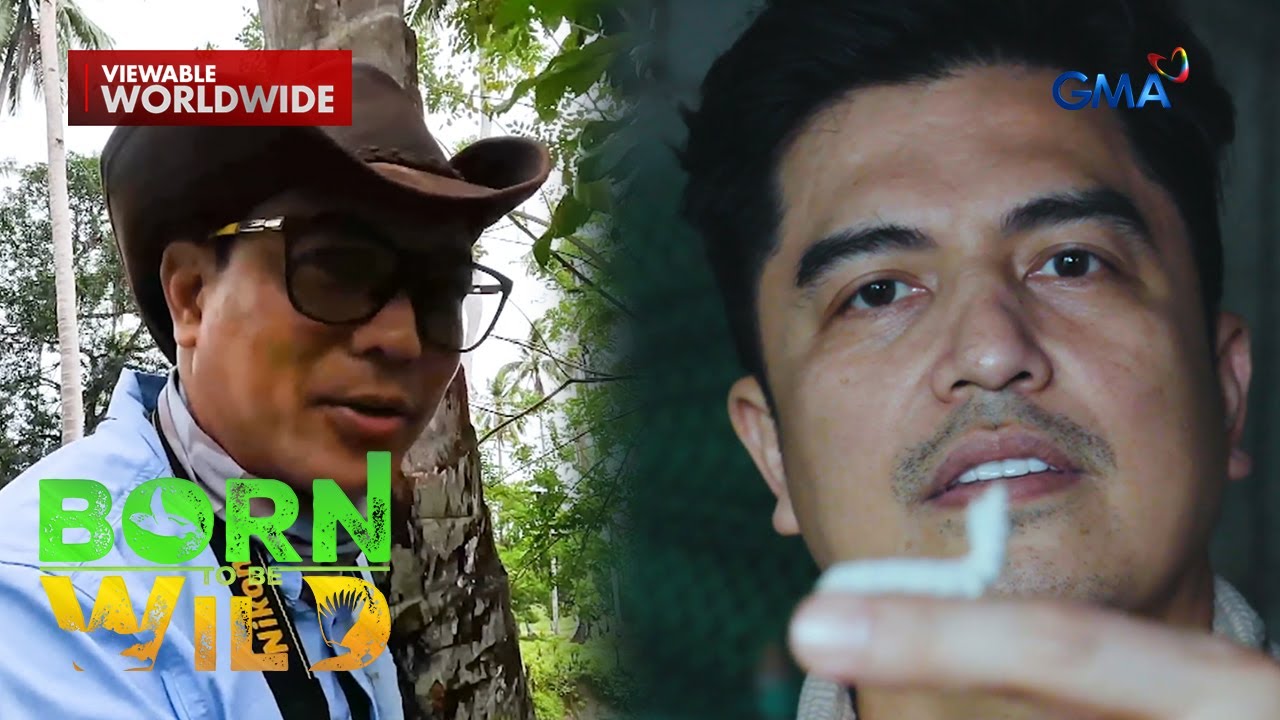 Silkworm Silk Secrets; Life with Crocodiles (Full Episode) | Born to Be Wild