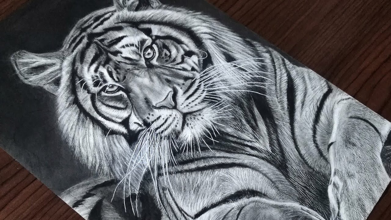 How to Draw a Realistic Tiger with a simple technique & materials Step By Step | Real Time Video