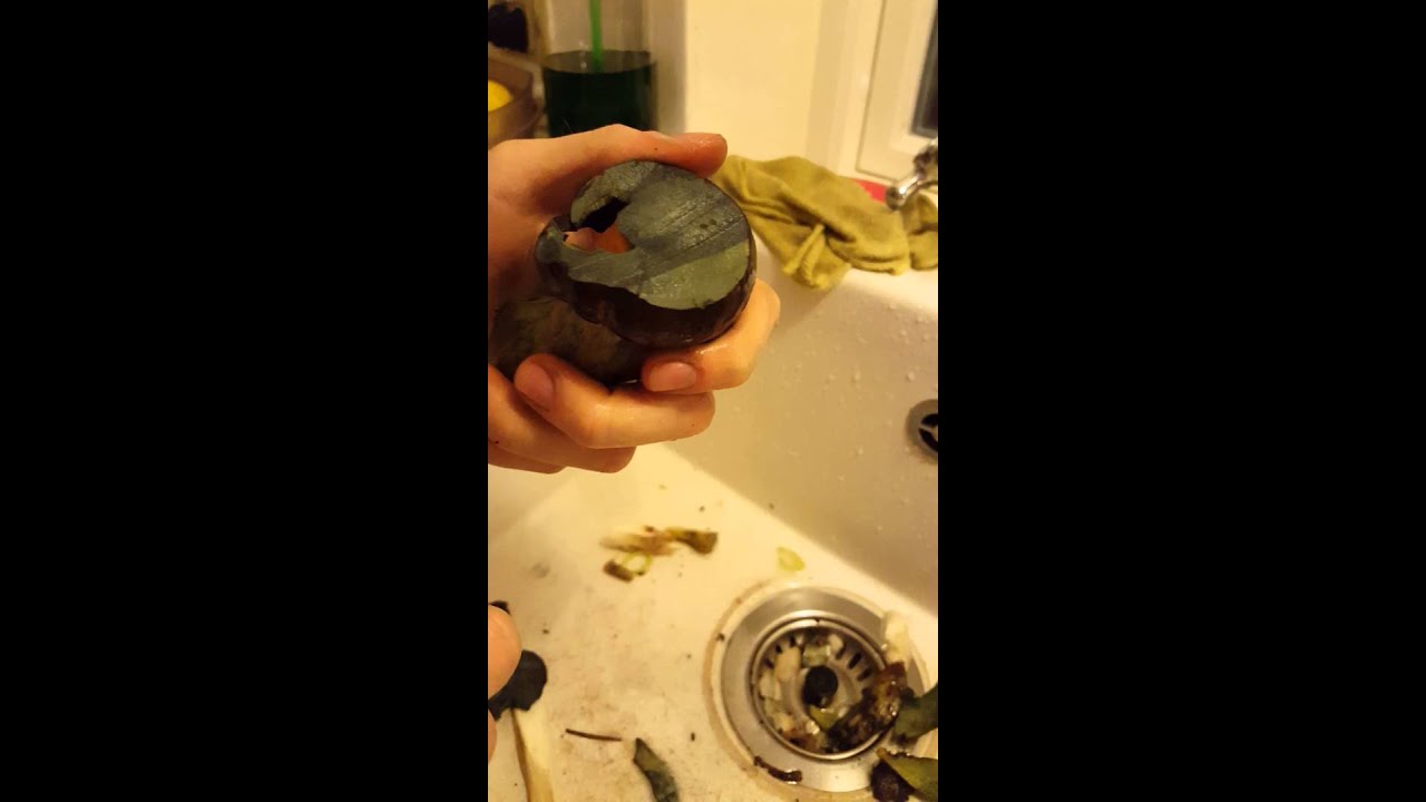 Neoboletus luridiformis oxidation reaction