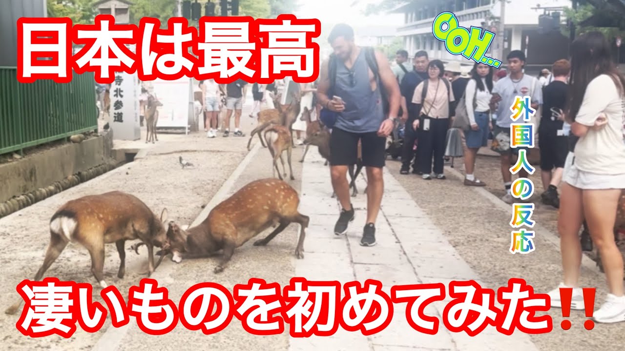 日本は最高　凄いものを初めてみた‼️外国人の反応🫎NARA  PARK